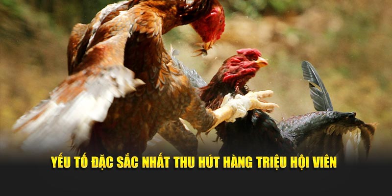 Yếu tố đặc sắc nhất thu hút hàng triệu hội viên